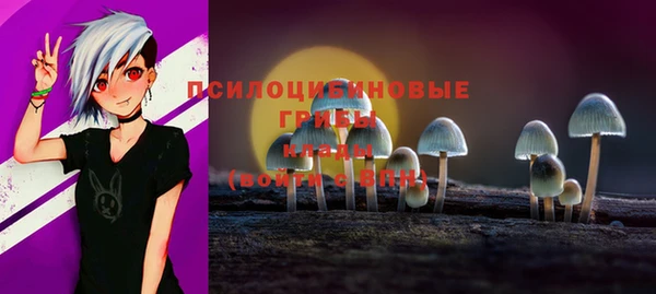 spice Вяземский