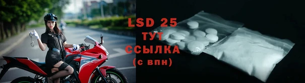 ECSTASY Вязники