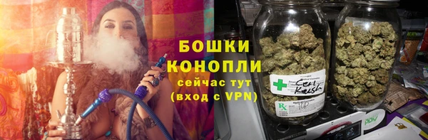 spice Вяземский