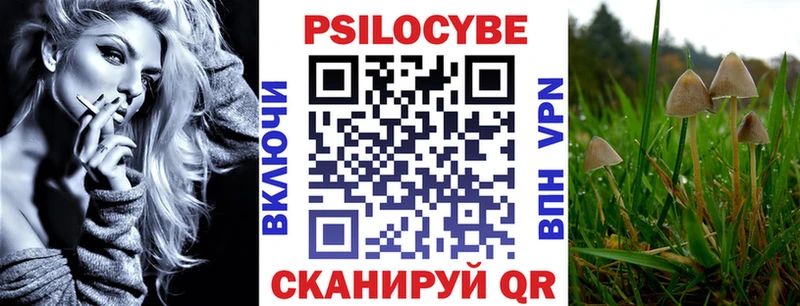 Купить закладки  Петровск-Забайкальский  Псилоцибиновые грибы ЛСД 