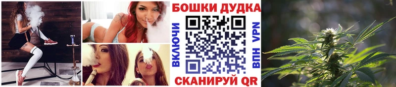 Купить закладки  Петровск-Забайкальский  Конопля Amnesia 